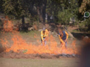 Evitemos incendios forestales; no realices quemas agrícolas en temporada de calor