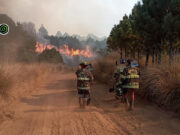 Cerrado el acceso al Nevado de Toluca por incendios forestales