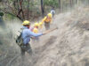 Incendios han afectado 8 mil 500 hectáreas de Veracruz