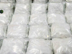Aseguran más de 700 kilos de mariguana en Saltillo, Coahuila