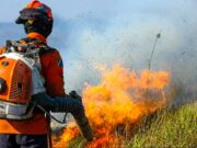 Abril cierra con hasta nueve incendios en Xalapa por altas temperaturas