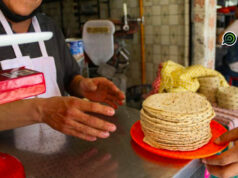 Alarma Nacional por el Precio de la Tortilla: Kilogramo alcanza los 35 pesos en el cierre de marzo