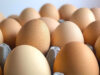 Sube precio del huevo en México: Profeco señala las marcas más baratas y las caras