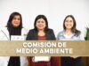 Abierta, convocatoria para otorgar el premio al Mérito Ambiental 2025