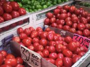 Precio del jitomate se triplica y golpea la economía familiar