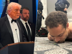 Atacante sí iba por Donald Trump: Karoline Leavitt afirma que Cole Tomas Allen quería ‘matar al presidente’