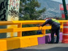 ¿Se acabó la ‘ajolotización’? CDMX vuelve a pintar de amarillo los puentes