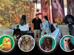 Asegura Profepa fauna silvestre en feria de Banderilla